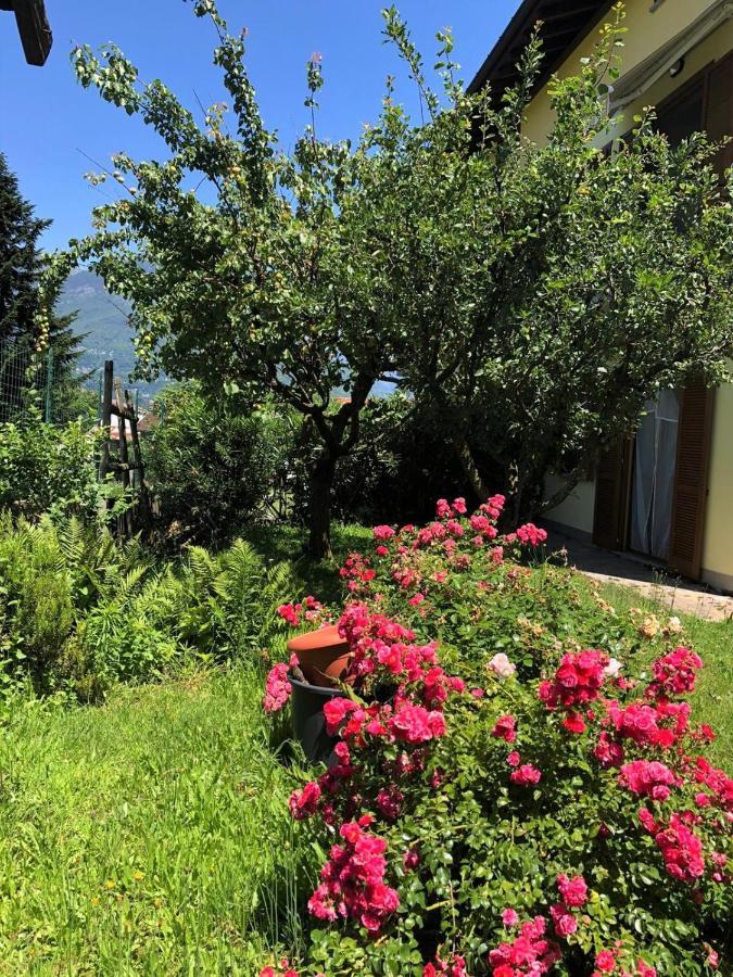 Apartamento The Children Smile- With Private Garden Colico